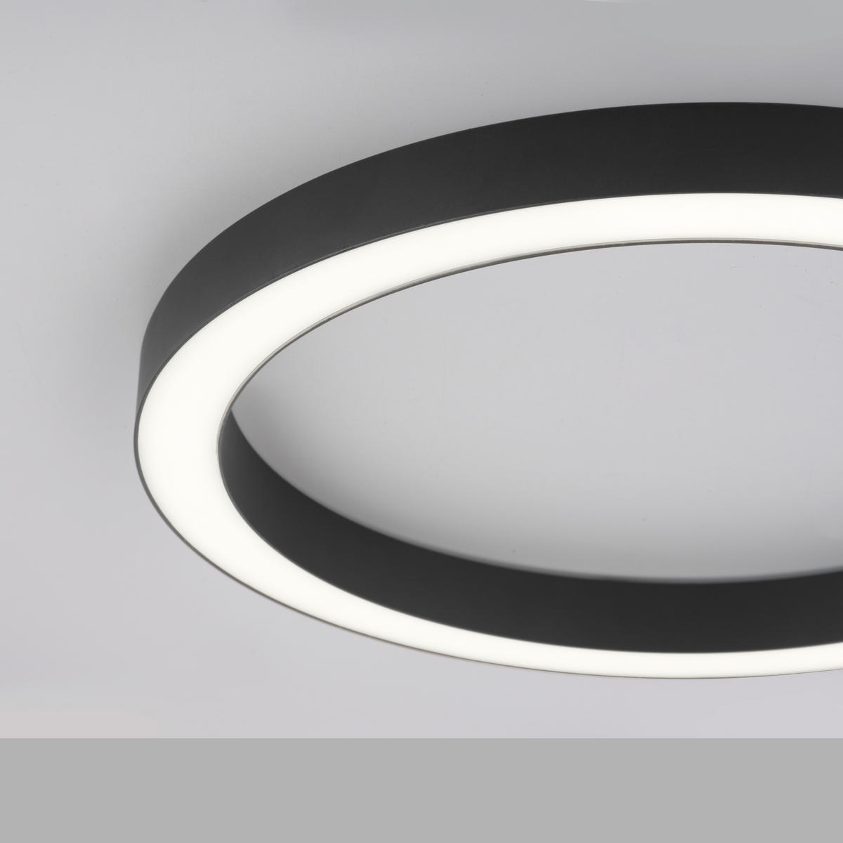 LED PLAFONJERA Pure Lines  - antracit, Dizajnerski, metal/plastika (50/3.9/4cm) - Neuhaus PURE