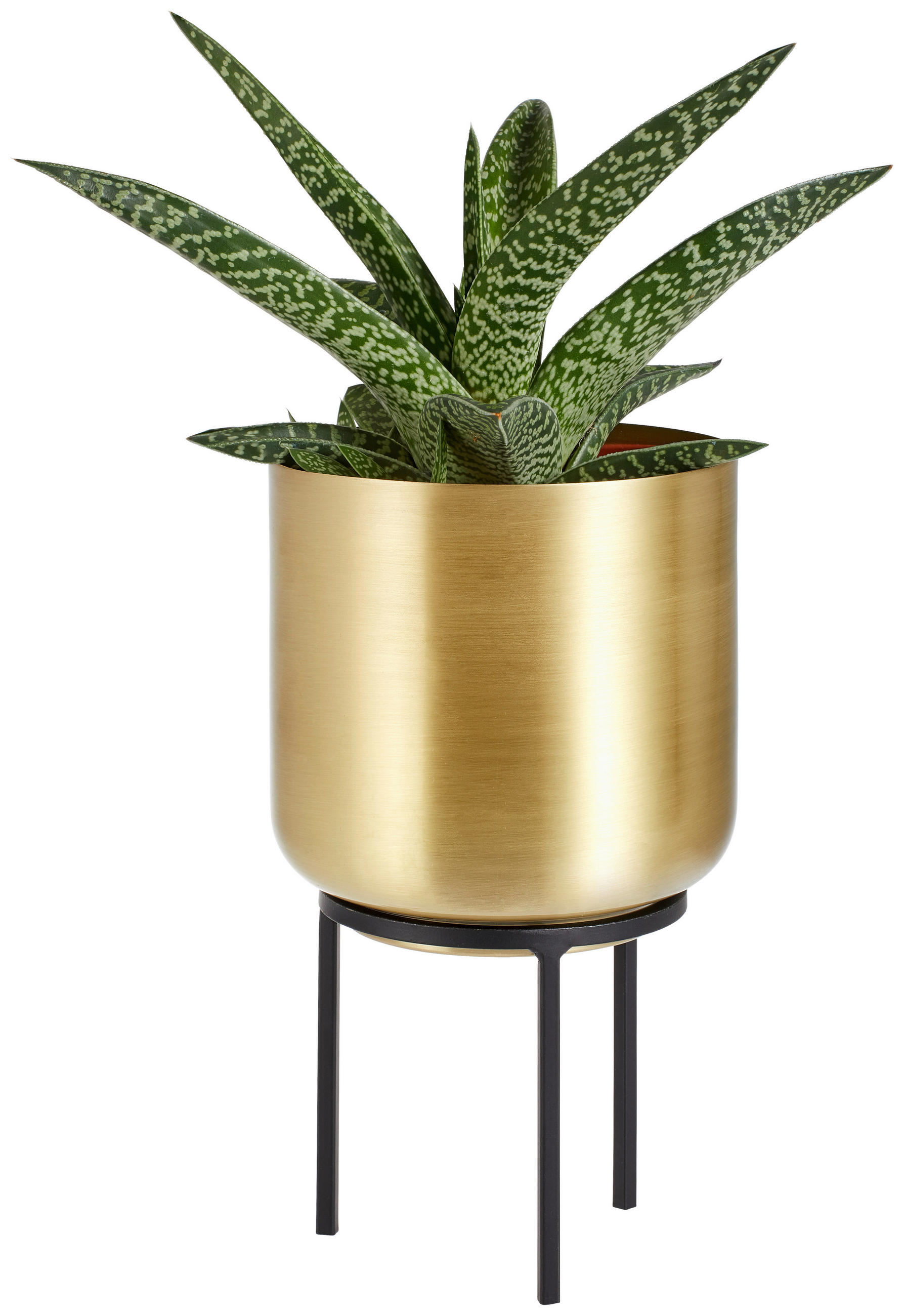 BLUMENTOPF   - Goldfarben/Schwarz, Trend, Metall (13/23cm) - Ambia Home