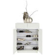 SCHUHSCHRANK  in 80/104,5/34,5 cm  - Edelstahlfarben/Weiß, Design, Holzwerkstoff/Metall (80/104,5/34,5cm) - Xora