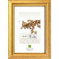 RAHMEN  - Goldfarben, Basics, Glas/Holz (72,6cm)