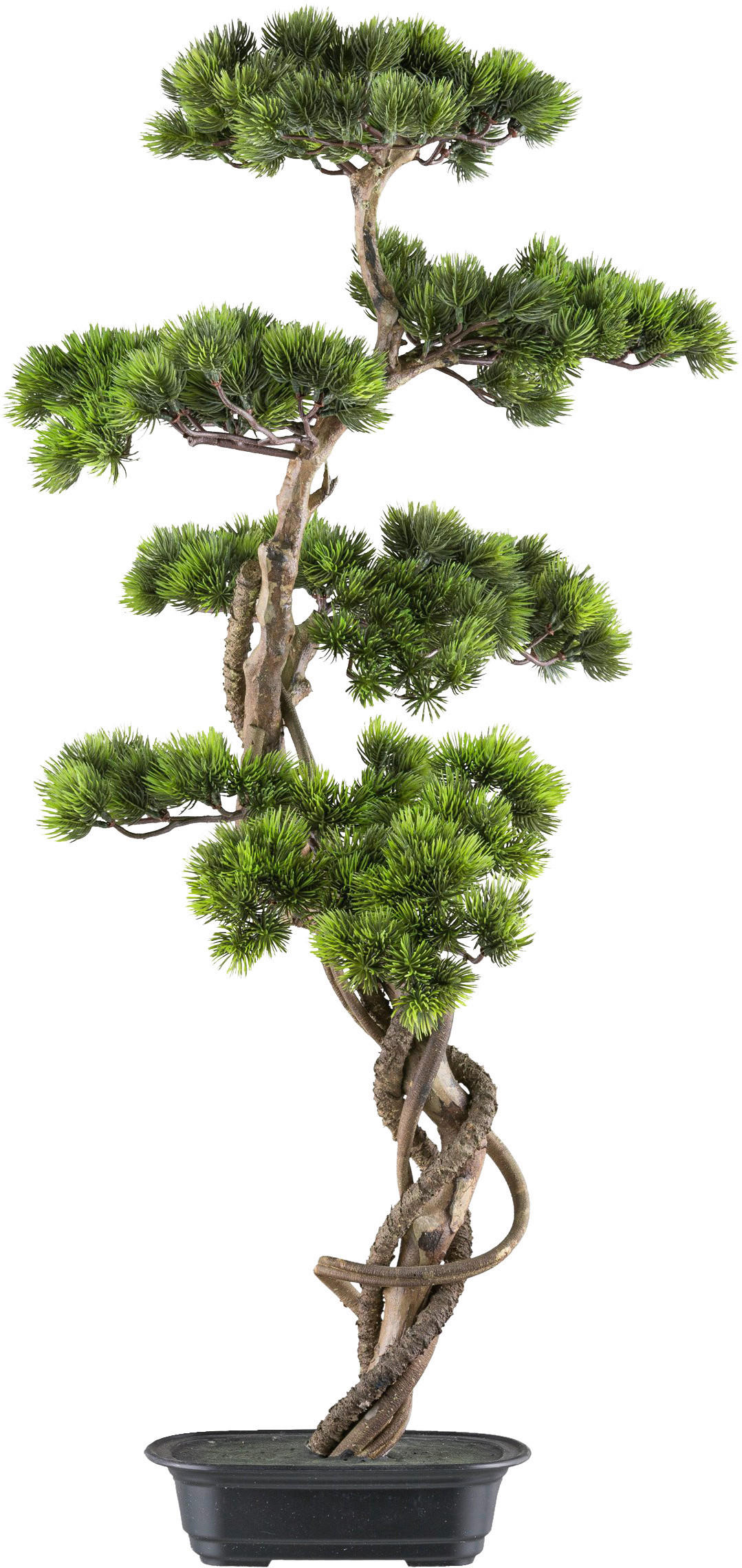 KUNSTPFLANZE Bonsai 90 cm  - Schwarz/Braun, Design, Kunststoff (90cm) - P & B