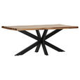 TISCHPLATTE      - Sheeshamfarben, Design, Holz (200/100/5cm) - Landscape