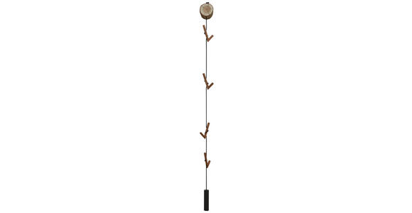 WANDGARDEROBE - Eichefarben/Anthrazit, Natur, Holz/Textil (12/197/30cm) - Valnatura