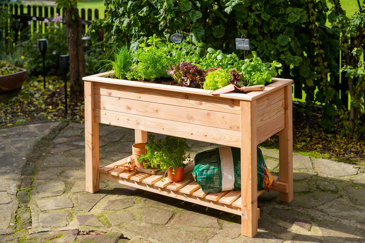 HOCHBEET  - Lärchefarben, KONVENTIONELL, Holz (120/65/75cm) - Ambia Garden