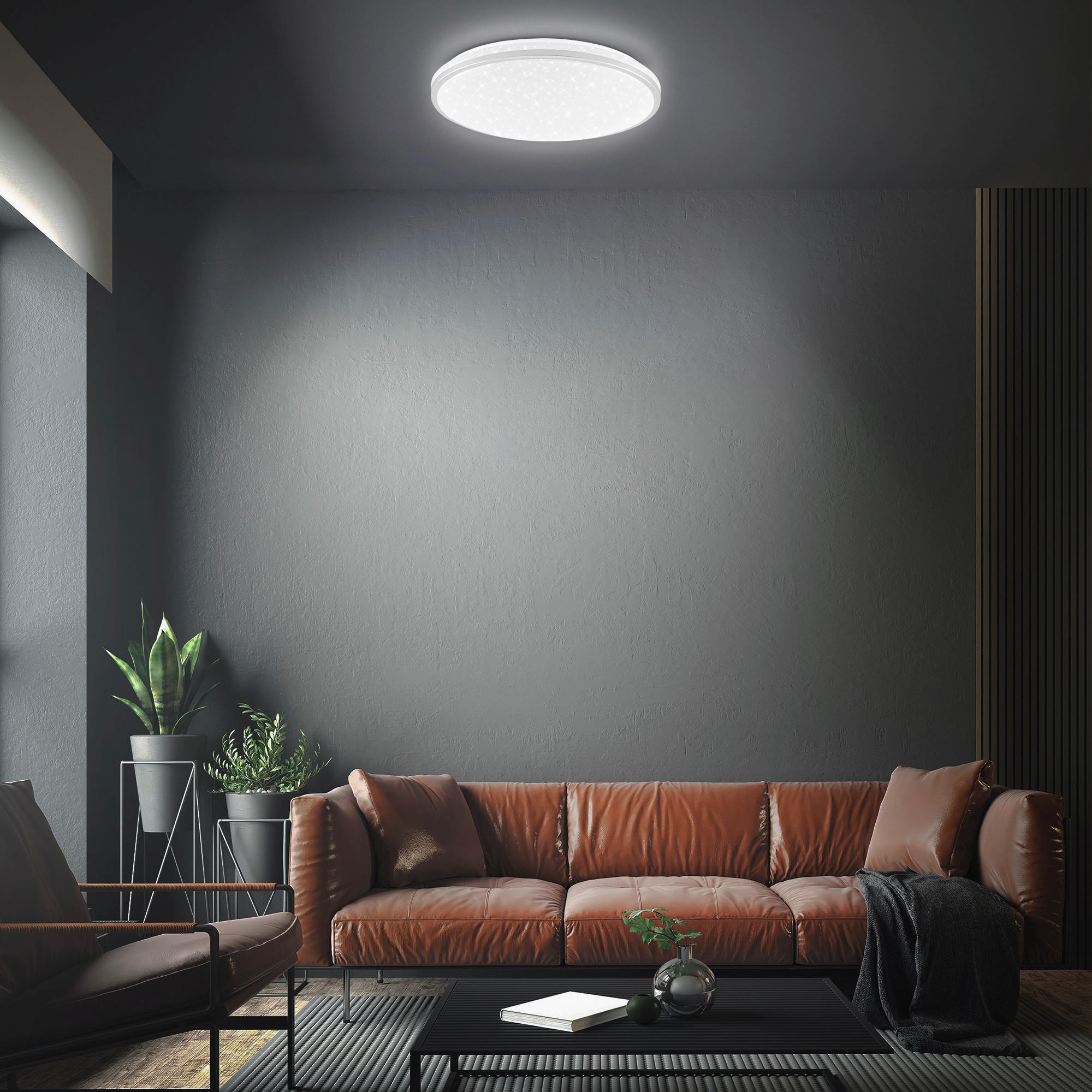 STROPNA LED-SVETILKA   //4000 K// - barve kroma/bela, Basics, umetna masa (33/6cm)