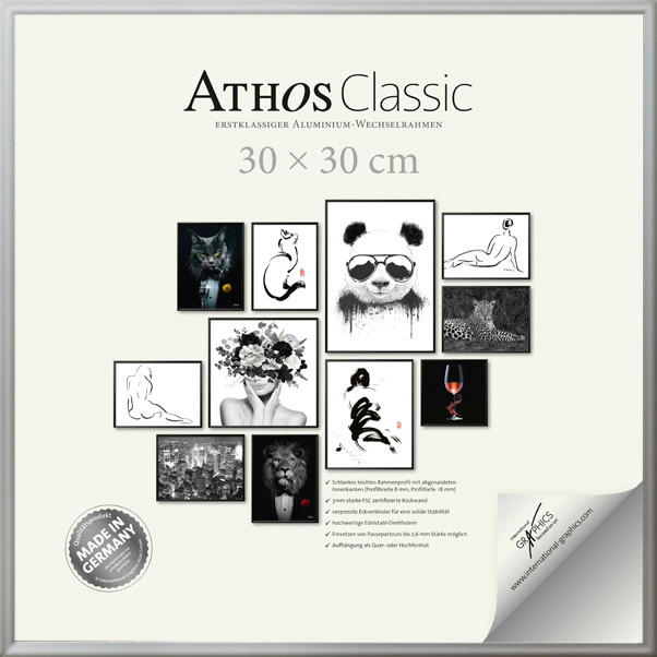 BILDERRAHMEN - Silberfarben, Basics, Papier/Holzwerkstoff (30/30/1,8cm)