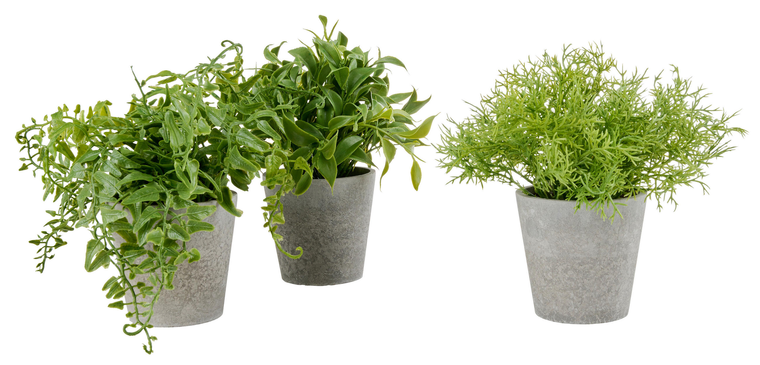 MŰNÖVÉNY - szürke, Basics, műanyag (15/17cm)
