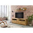 TV-ELEMENT - Design (185/58/50cm) - Landscape