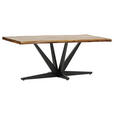 TISCHPLATTE      - Naturfarben, Design, Holz (200/100/5cm) - Landscape