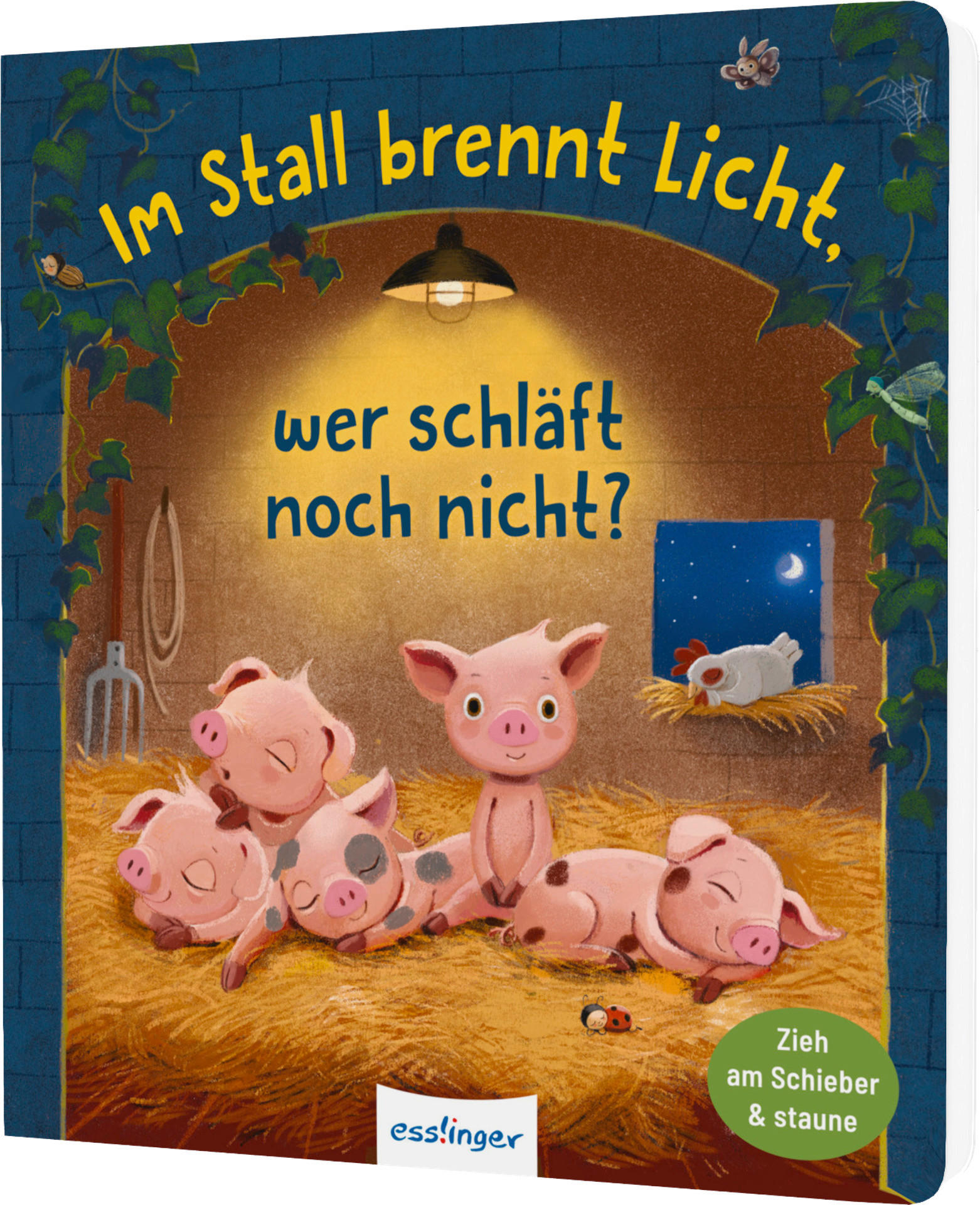 KINDERBUCH Im Stall brennt Licht, wer schläft noch nicht?  - Multicolor, Basics, Papier (19,6/17,7/1,8cm)