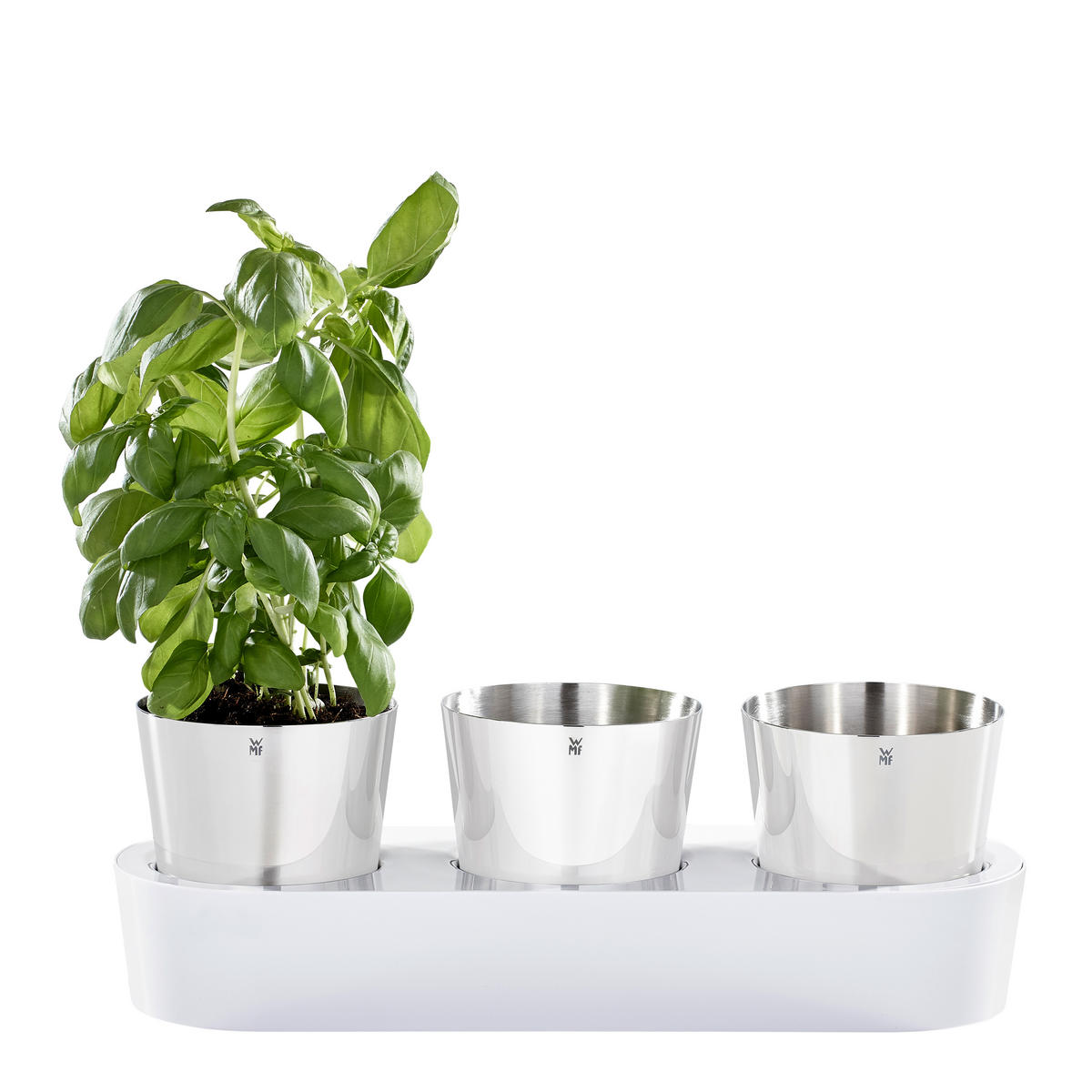 KRÄUTERTOPF - Basics, Kunststoff/Metall (40,4/13,0/12,5cm) - WMF