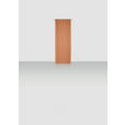 FERTIGVORHANG blickdicht  - Terracotta, Basics, Textil (140/255cm) - Novel