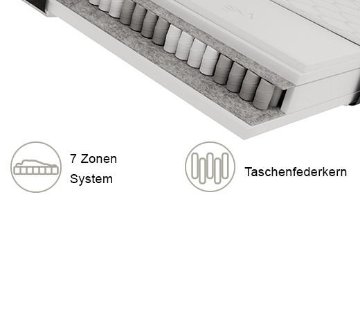 TASCHENFEDERKERNMATRATZE 180/200 cm Höhe ca. 25 cm 7 -Zonen - Graphitfarben/Weiß, Trend, Textil (180/200cm) - Esposa