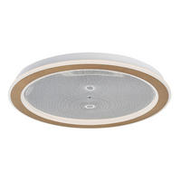 LED PLAFONJERA ZOFRAEL  - prozirna/zlatna, Dizajnerski, metal/plastika (51/6cm)