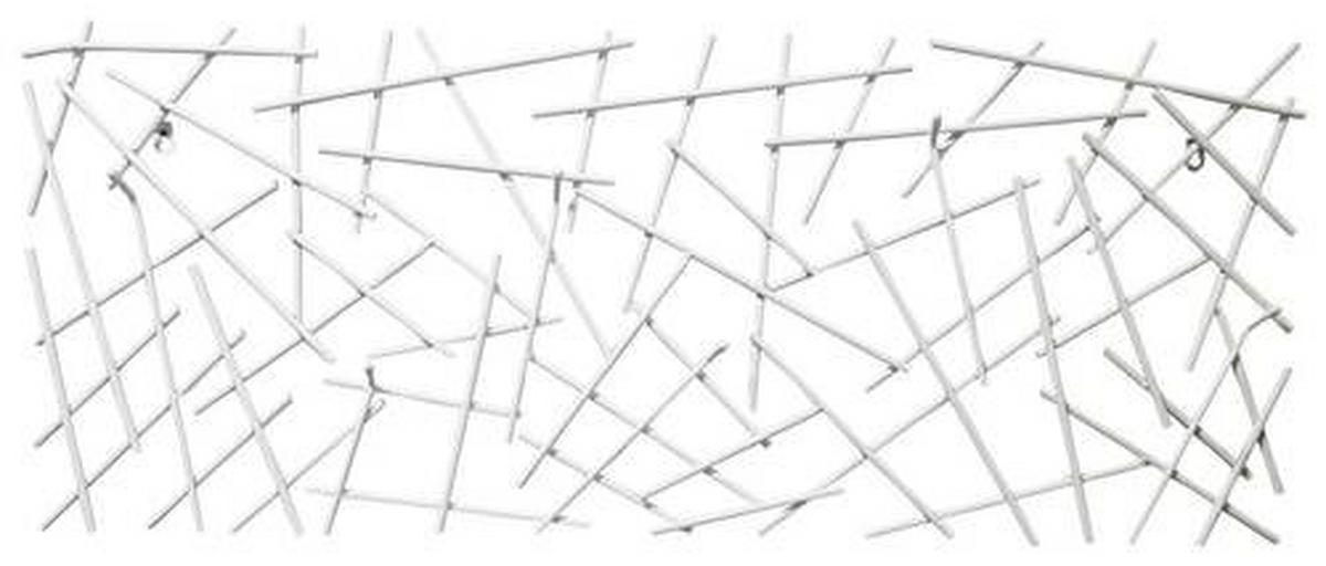 NÁSTENNÝ VEŠIAK - biela, Trend, kov (100/40/5cm)