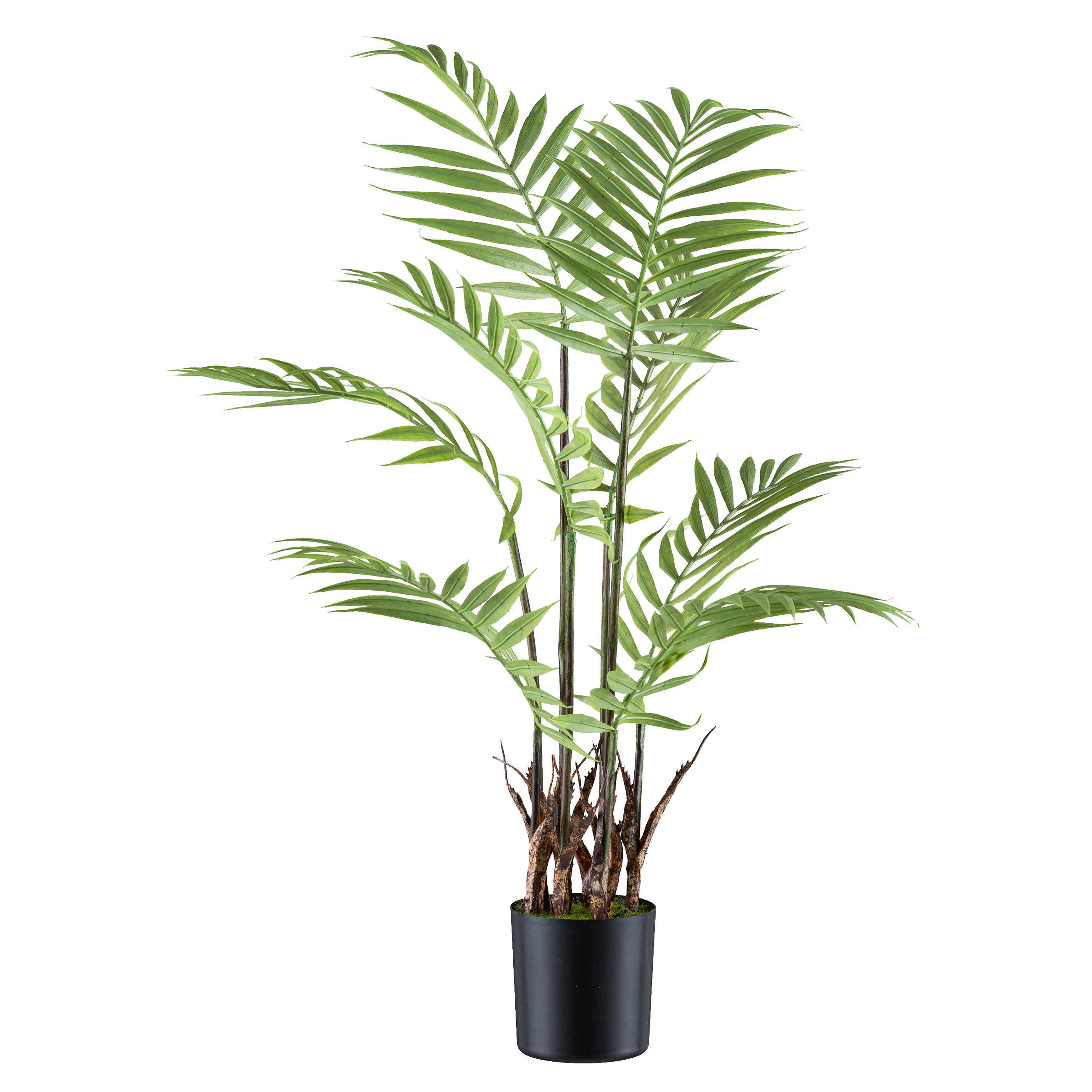 KUNSTPFLANZE Palme 70 cm  - Schwarz/Braun, Design, Kunststoff (70cm) - P & B