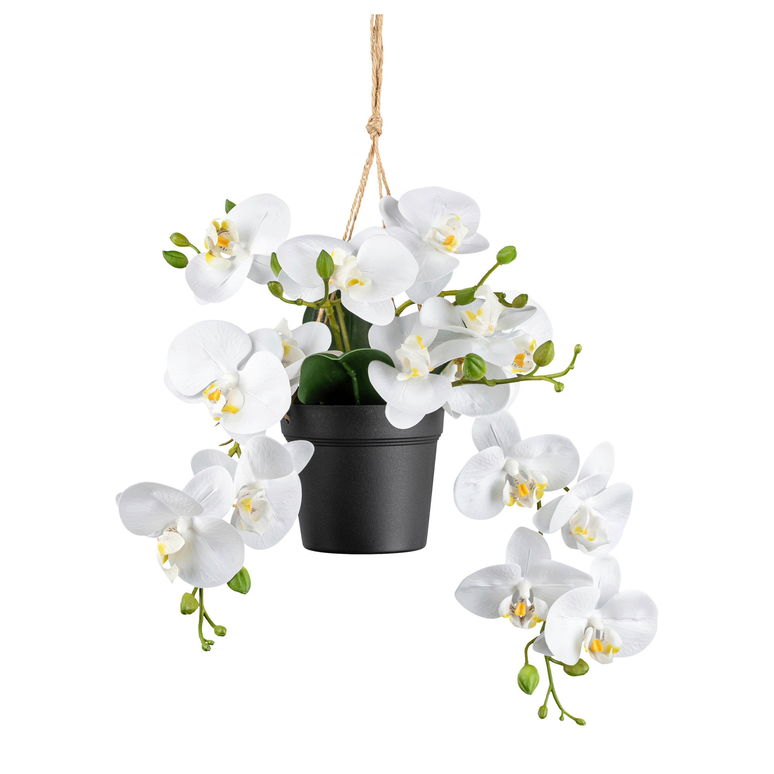 KUNSTPFLANZE Orchidee 25 cm  - Schwarz/Weiß, Design, Kunststoff (25cm) - P & B