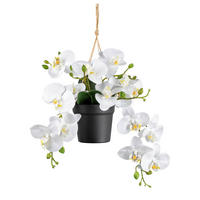 KUNSTPFLANZE Orchidee 25 cm  - Schwarz/Weiß, Design, Kunststoff (25cm) - P & B