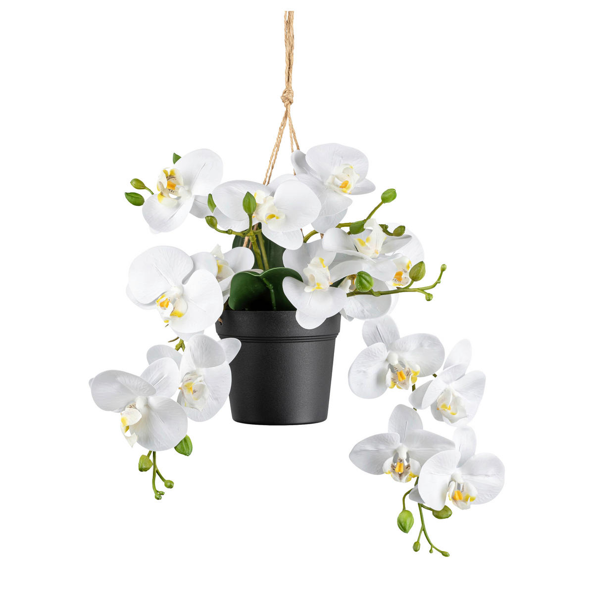 KUNSTPFLANZE Orchidee 25 cm  - Schwarz/Weiß, Design, Kunststoff (25cm) - P & B