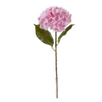 MŰNÖVÉNY - pink/barna, Basics, műanyag (57cm)
