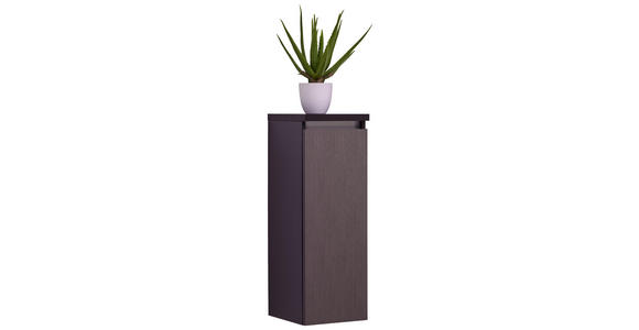 MIDISCHRANK 30/85,8/33 cm - Grau, MODERN, Glas/Holzwerkstoff (30/85,8/33cm) - Dieter Knoll