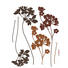 Blumen DEKOSTICKER - Klar, Basics, Kunststoff (50/70cm) Blumen DEKOSTICKER - Klar, Basics, Kunststoff (50/70cm)