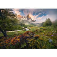 FOTOTAPETE - Multicolor, Trend, Textil (400/280cm)