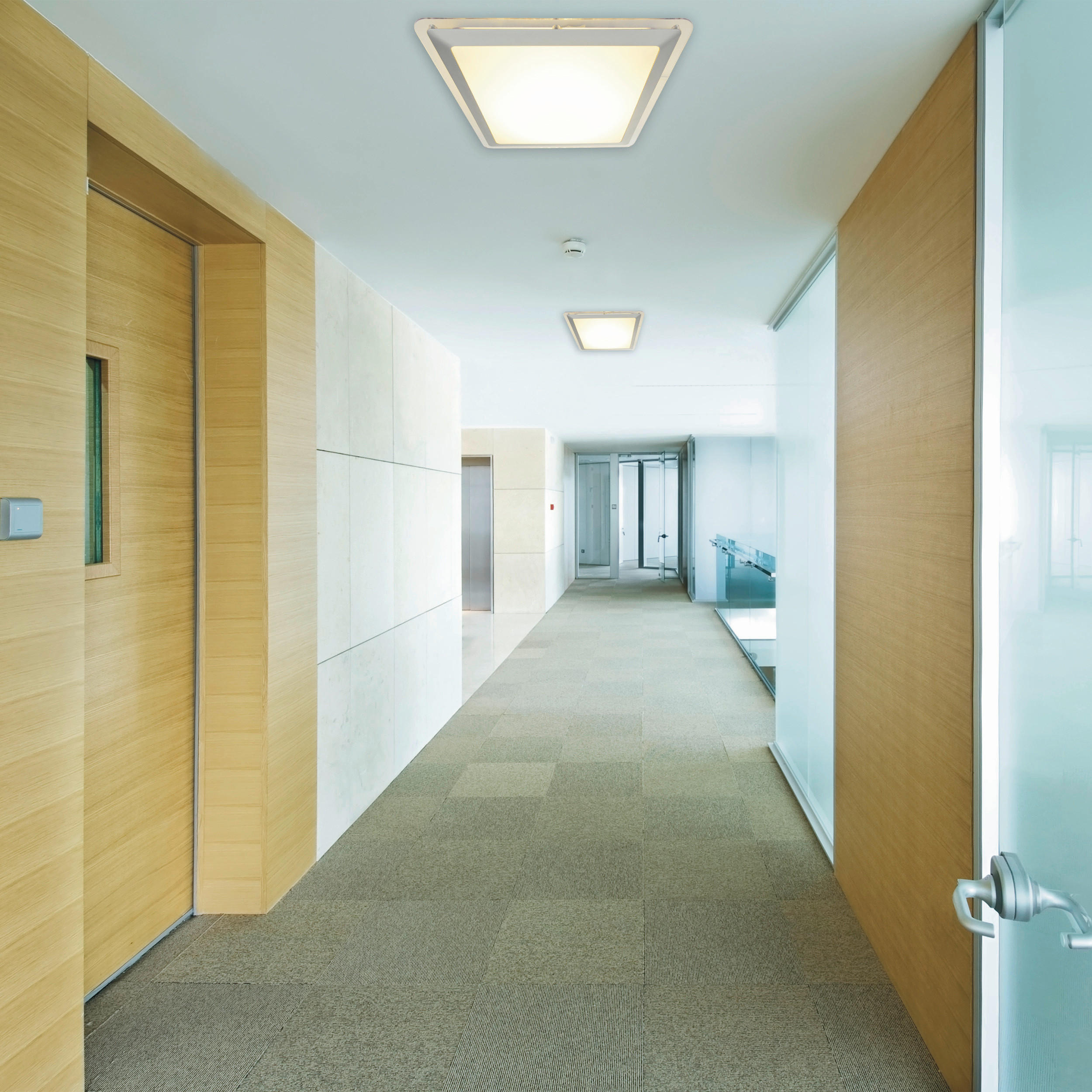 LED-DECKENLEUCHTE 33,5 cm  - Silberfarben, Basics, Kunststoff/Metall (33,5cm) - Näve