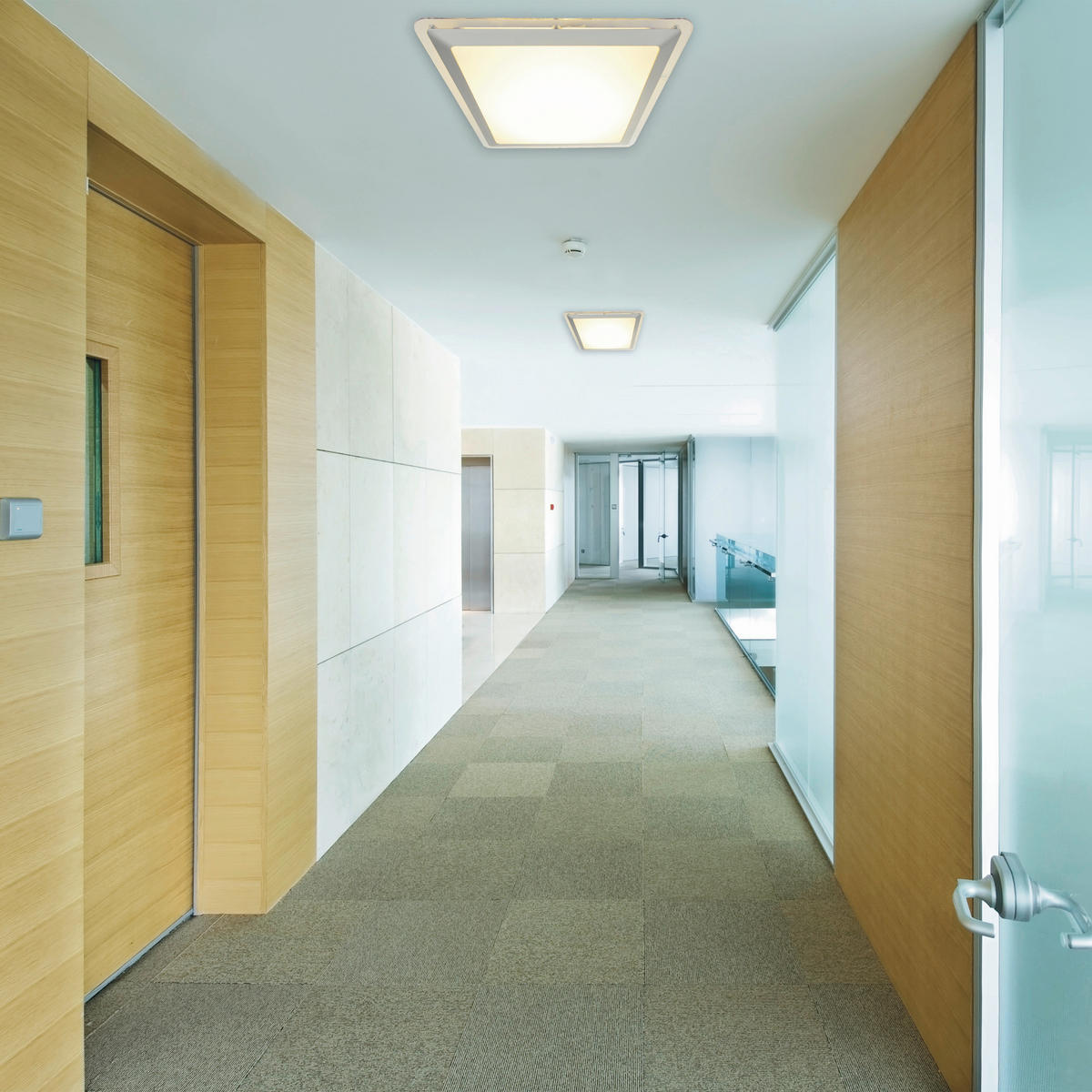 LED-DECKENLEUCHTE 33,5 cm  - Silberfarben, Basics, Kunststoff/Metall (33,5cm) - Näve