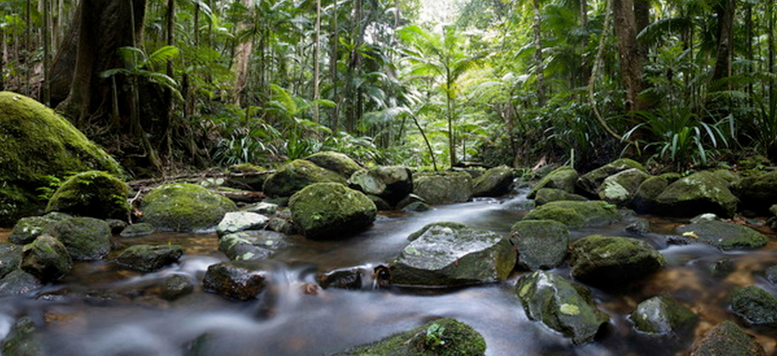 ŠTAMPA NA PLATNU     120/55 cm       - plava/narandžasta, Osnovno, drvo/tekstil (120/55cm) - Monee