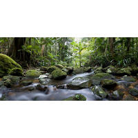 ŠTAMPA NA PLATNU     120/55 cm       - plava/narandžasta, Osnovno, drvo/tekstil (120/55cm) - Monee