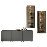 WOHNWAND  in Eichefarben, Grau  255,3/205,2/48,5 cm  - Eichefarben/Grau, Design, Glas/Holzwerkstoff (255,3/205,2/48,5cm) - Celina Home