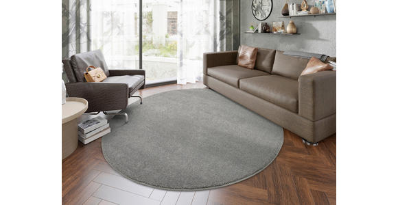 WEBTEPPICH Dunkelgrau - Dunkelgrau, Basics, Textil (200cm) - Novel