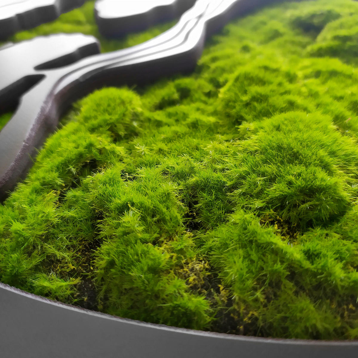 MOOSBILD  - Dunkelgrün/Schwarz, Basics, Holz/Kunststoff (100/50cm)