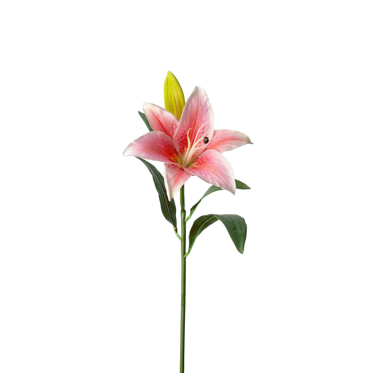 LILIJA - pink/zelena, Basics, tekstil (45cm)