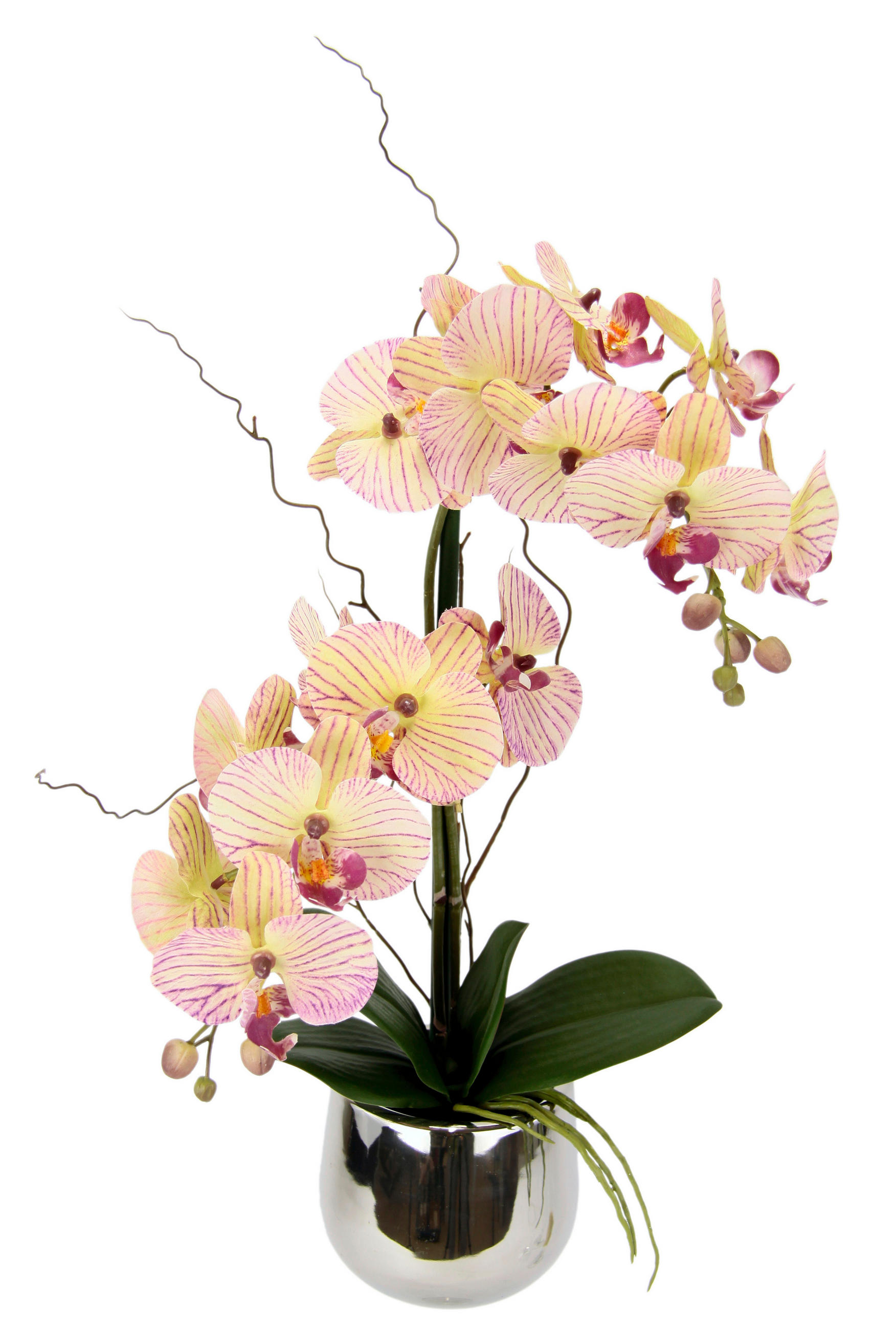 ORCHIDEE  - Hellrosa, Basics (25/45cm)