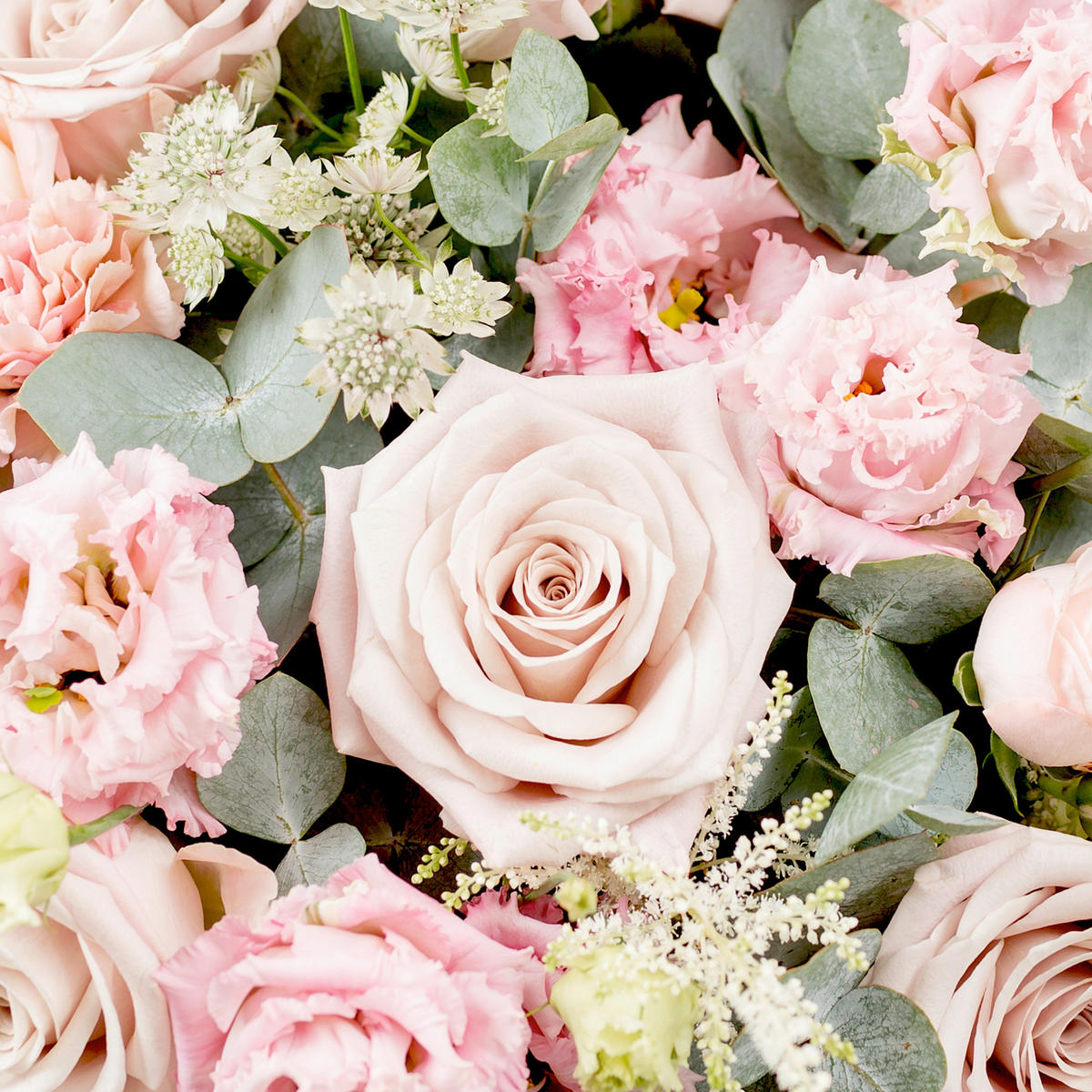 SERVIETTE  33/33 cm  12 Stück  - Rot/Rosa, Basics, Papier (33/33cm) - PPD