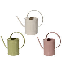 GIEßKANNE - Rosa/Weiß, LIFESTYLE, Metall (30,00/12,00/22,00cm)