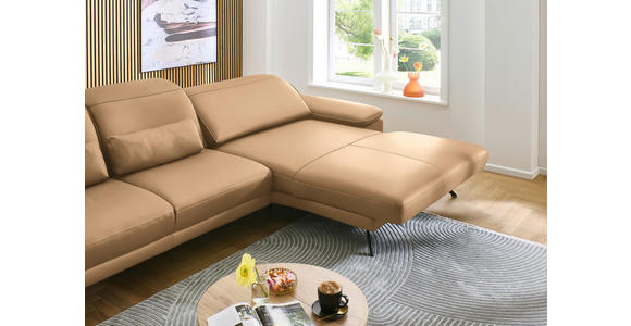 ECKSOFA in Echtleder Honig 332/193 cm - Schwarz/Honig, Design, Leder/Metall (332/193cm) - Dieter Knoll