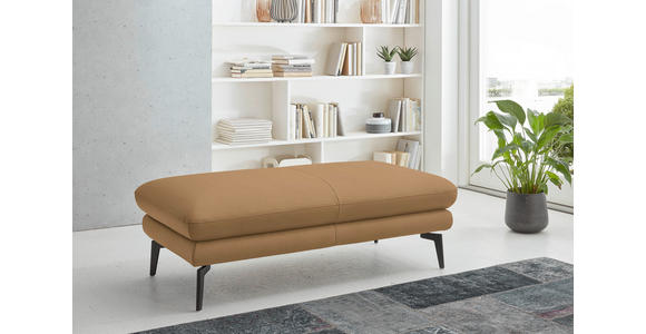 2,5-SITZER  in Echtleder Honig   - Schwarz/Honig, Design, Leder/Metall (196/86/104cm) - Dieter Knoll