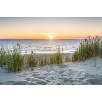 LEINWANDBILD Strand & Meer  - Multicolor, Natur, Holz/Papier (80/120cm)