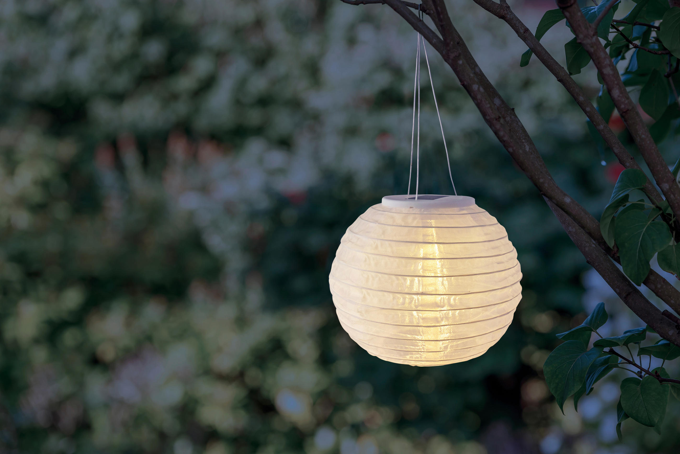 SOLARLEUCHTE Optima 20 cm  - Weiß, Basics, Kunststoff/Metall (20cm) - Ambia Garden