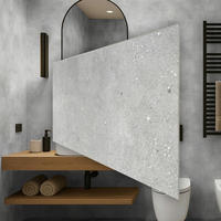 Vinyl für die Wand  - Hellgrau, MODERN, Kunststoff (60/30/0,37cm)