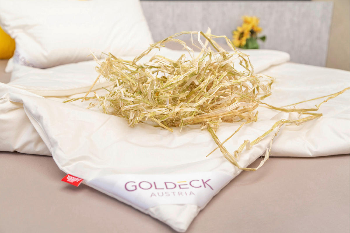 HANF-GANZJAHRESDECKE 140/220 cm Hanf Aktiv  - Champagner, Basics, Naturmaterialien/Textil (140/220cm) - Goldeck Austria
