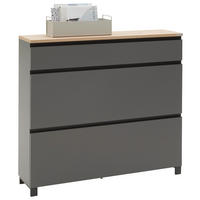 OMARA Z LOPUTAMI ZA ČEVLJE furnirano siva, barve hrasta - siva/barve hrasta, Design, kovina/leseni material (120/108/31cm) - Dieter Knoll