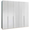 OMARA S KLASIČNIMI VRATI, bela, bela, visoki sijaj  - bela/barve aluminija, Design, kovina/leseni material (225/236/58cm) - Novel