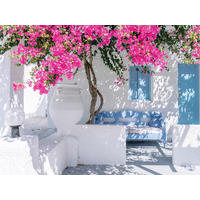 GLASBILD Architektur, Strand & Meer 30/40 cm  - Multicolor, Natur, Glas (30/40cm) - Euroart