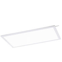 LED-PANEEL - Modern, Kunststoff/Metall (60/30/1,1cm) - Eglo