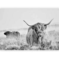 FOTOTAPETE  - Schwarz/Grau, LIFESTYLE, Textil (450/315cm) - artgeist