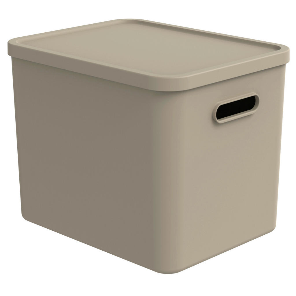 Rotho ÚLOŽNÝ BOX plast
